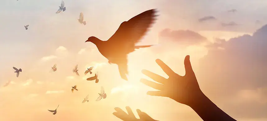8. Ser personas de paz