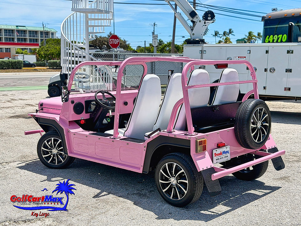 Thumbnail: Moke America Pink eMoke