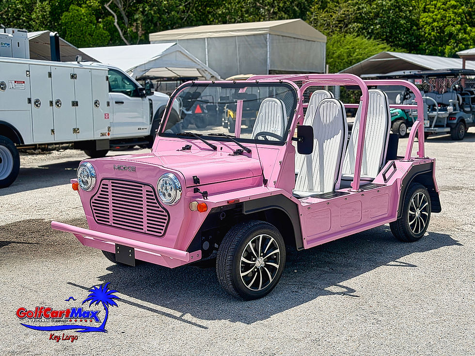 Thumbnail: Moke America Pink eMoke