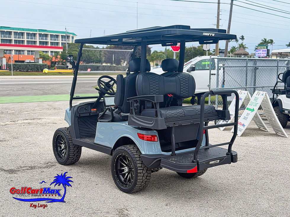 Thumbnail: 2026 Sierra AX2 Carrier Gray - Street Legal Electric Golf Cart