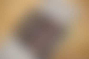 御召×しゃれ袋帯