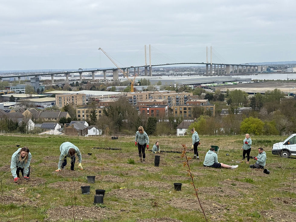 WhatsApp Image 2025-04-10 at 12.28.45 (2)