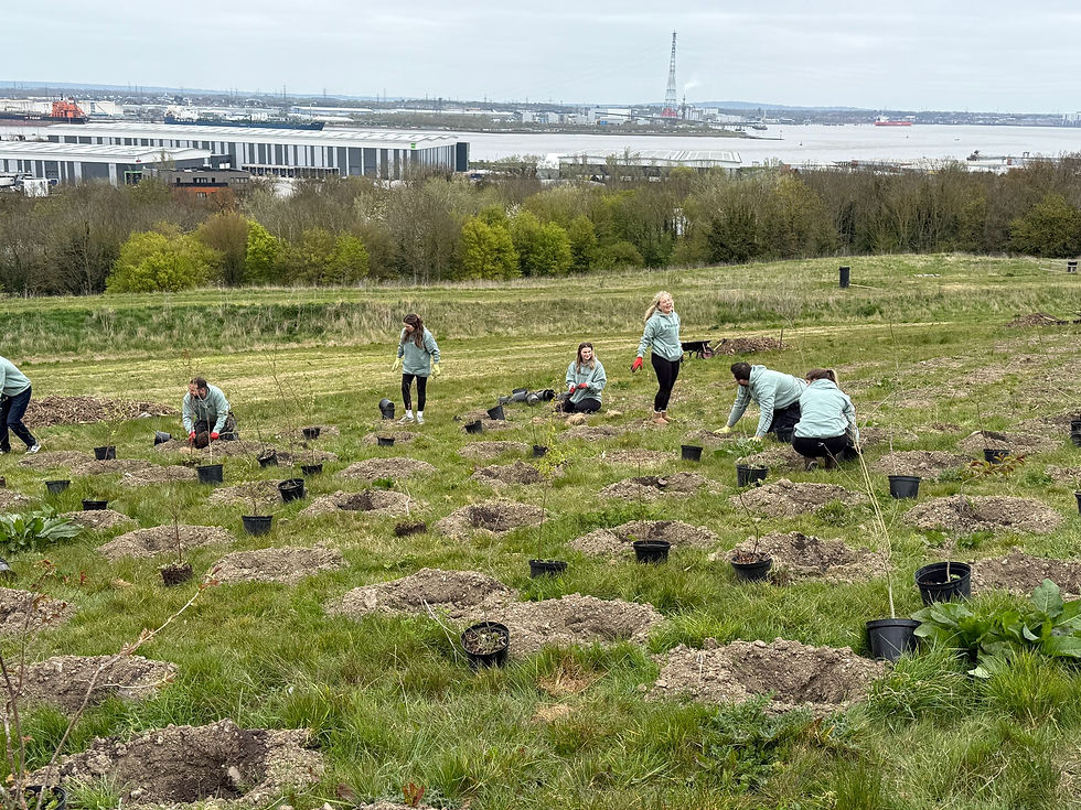 WhatsApp Image 2025-04-10 at 12.28.48 (1)