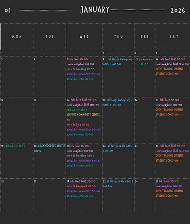 South Coast Circus Holiday workshop timetable