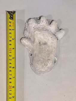Orang Pendek print.JPG