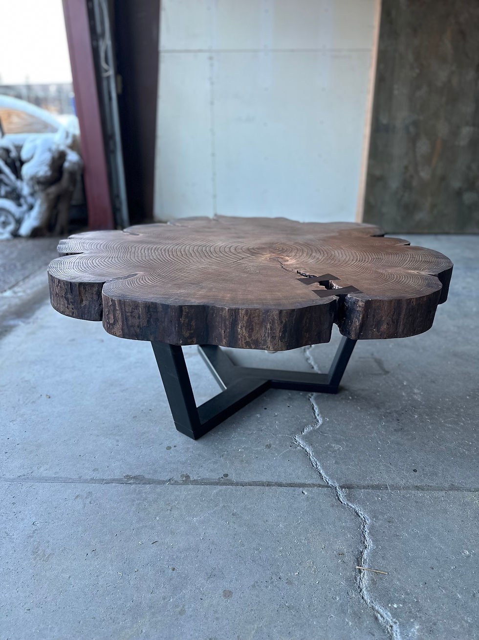 Black Locust Coffee Table