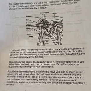 24 Hours After Shoulder Surgery: Whoever Said This Was a “Minor Procedure” Lied!