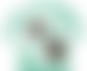 Holywell-cum-Needingworth Bowls Club Badge