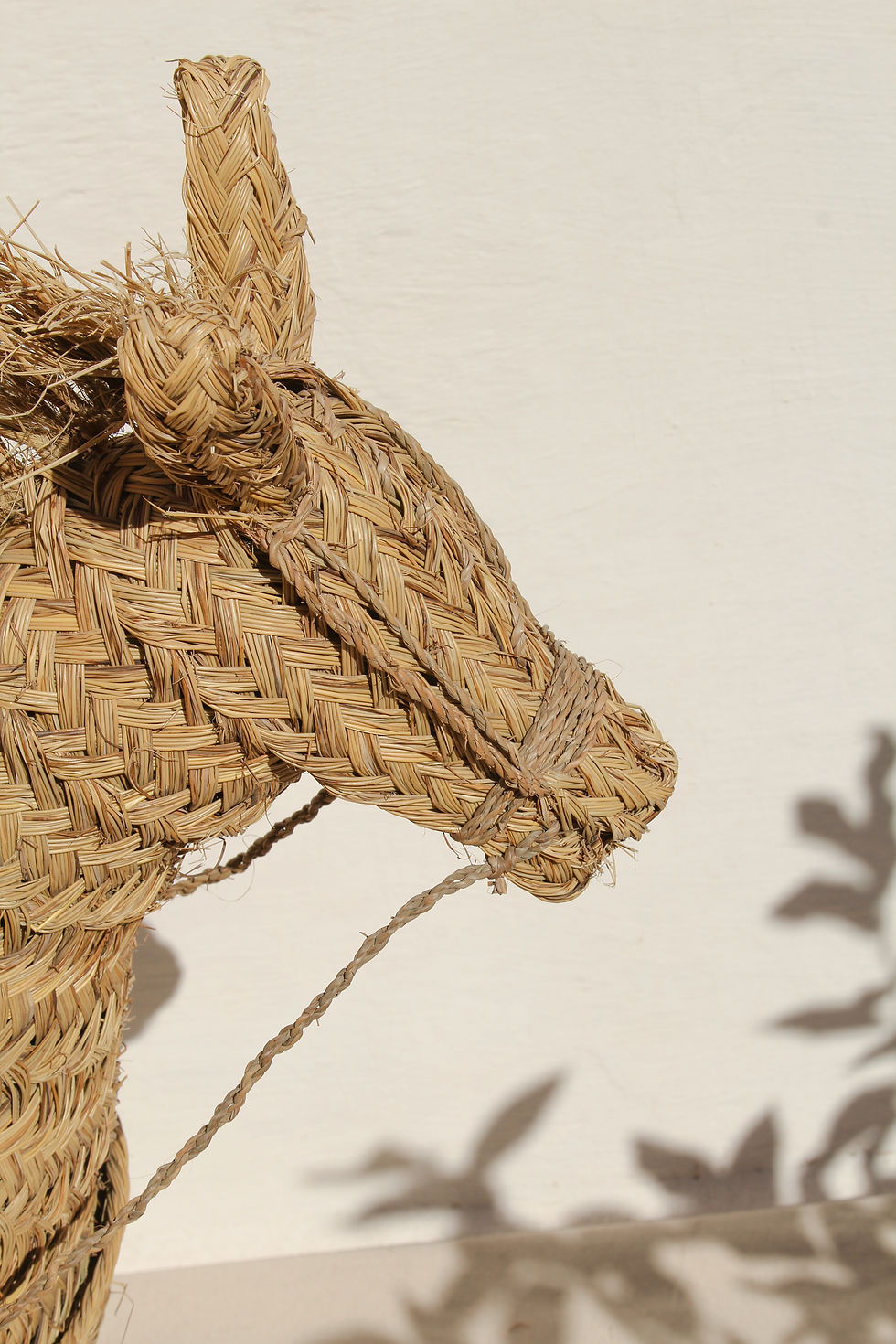 Miniatura: Caballito
