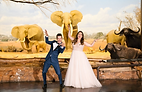 Tropic, Jurassic,  Fantastic. A Museum Wedding for the Ages  