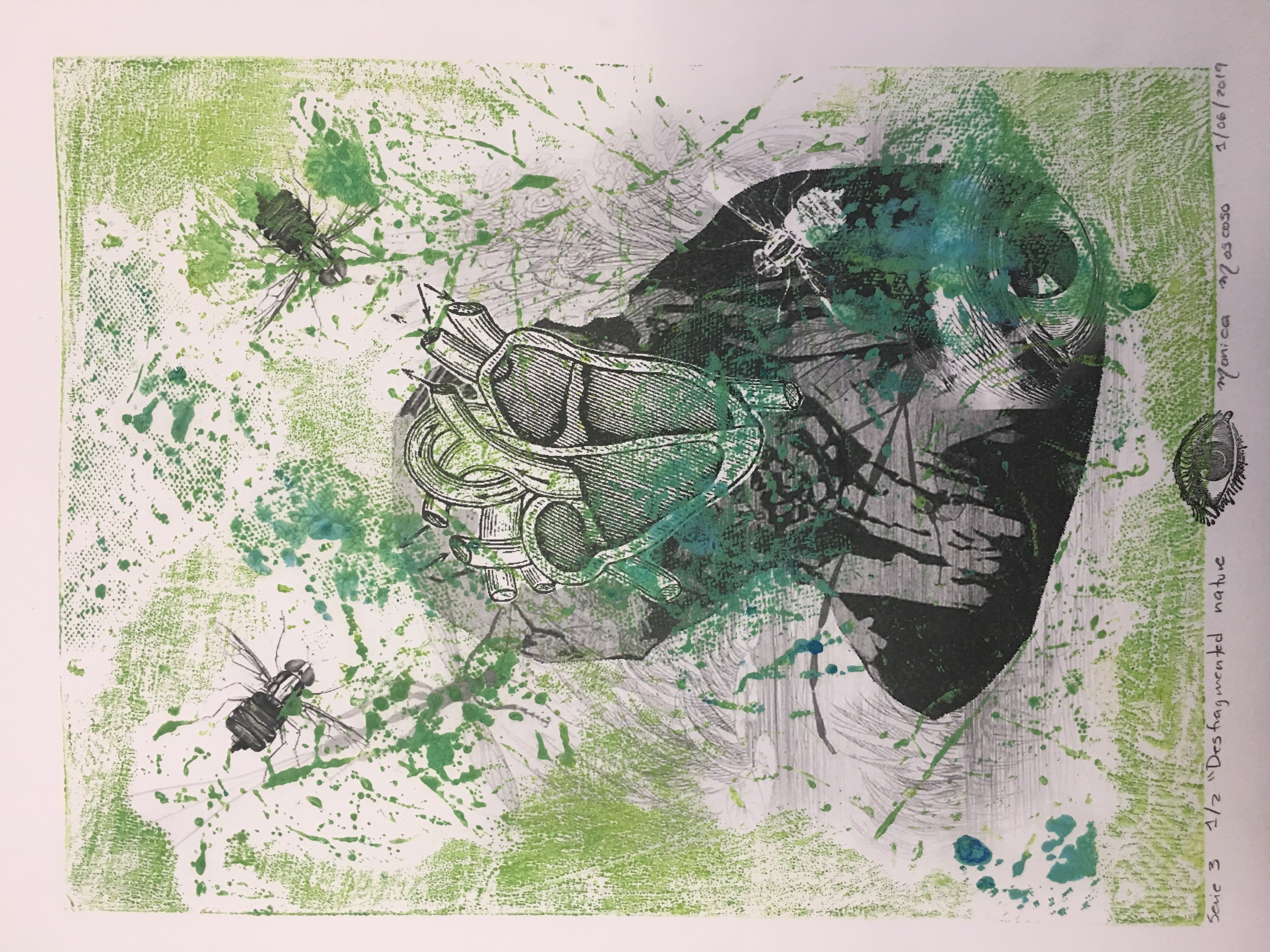 Desfragmented nature. serie 3