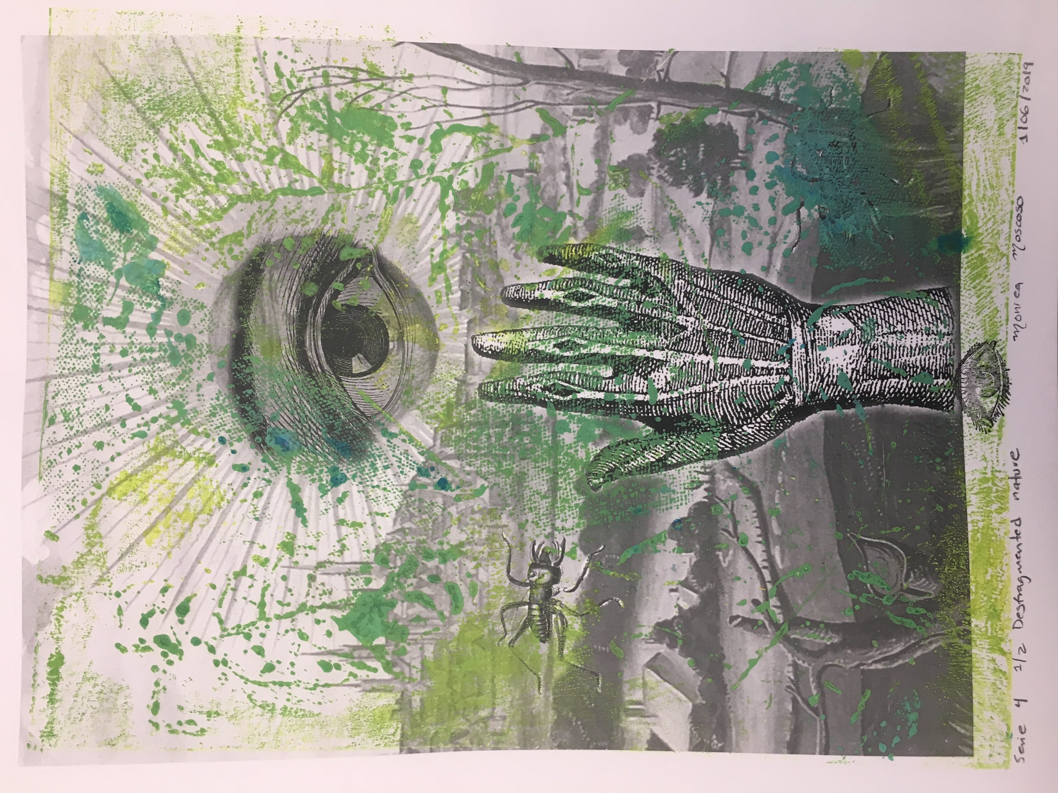 Desfragmented nature. serie 4