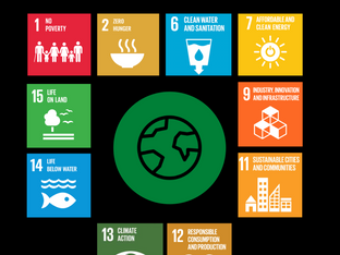 Paige's SDG, part 4: Protecting the Environment