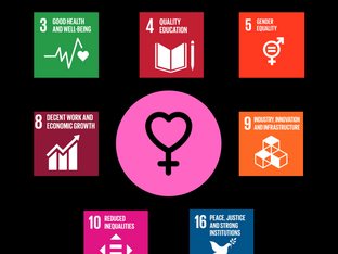 Paige's SDG, Part 3: Gender Equality
