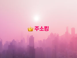 주소킹 최신주소 안내