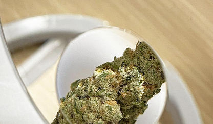 DISPENSARY @Yaowarat