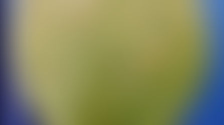 Các bệnh hại trên cây tiêu và biện pháp phòng trừ hiệu quả