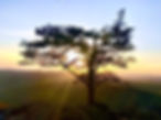 image6.jpeg