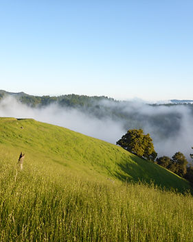 Fog Rolling In 2016.04.28_P1640898.JPG