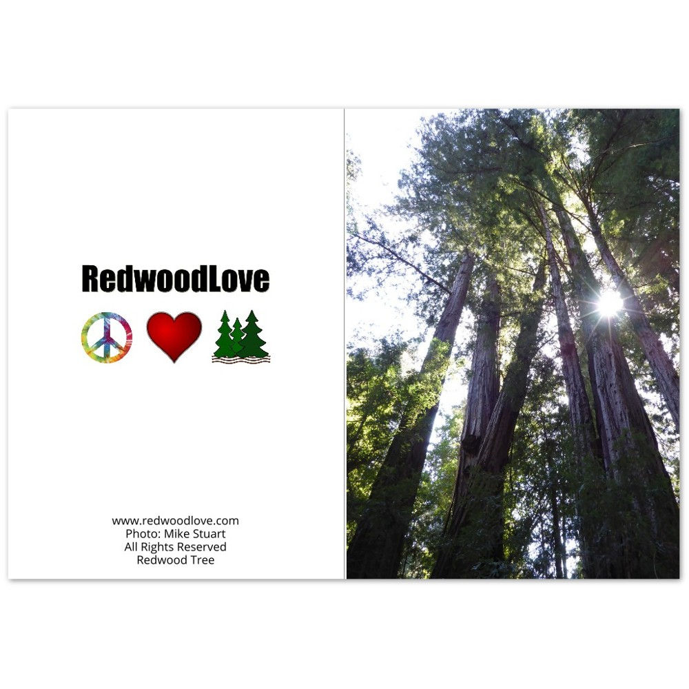 Pack of 10 Folded Cards (standard envelopes) (US & CA)