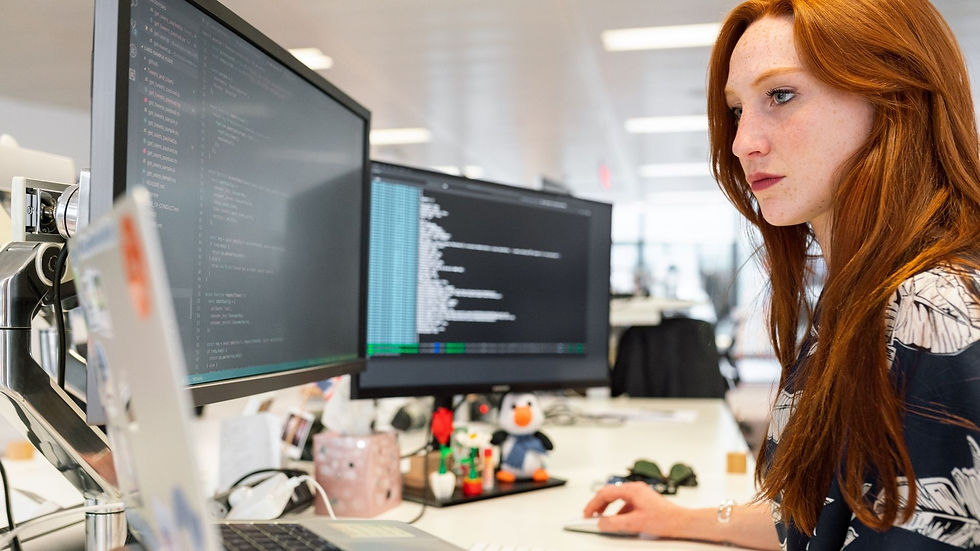 Working software developer