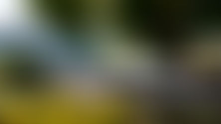 McMaster Üniversitesi Hakkında Genel Bilgiler