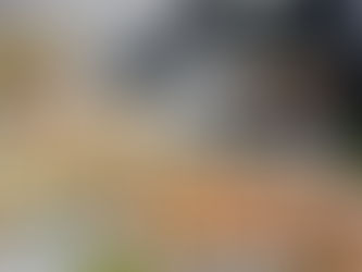 Unique Custom Corporate Catering Packages in Canada