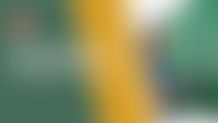 What You Need to Know About LSI Language Schools