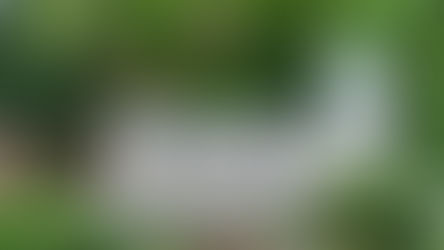 Dalhousie Üniversitesi Hakkında Genel Bilgiler