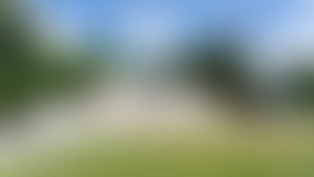 Guelph Üniversitesi: Başvuru, Ücretler ve Genel Bilgiler