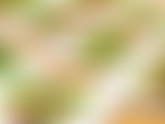 Vegetarian Catering Services in Toronto: Your Guide to Fresh, Flavorful Events