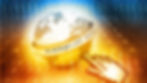 website for duplicate content