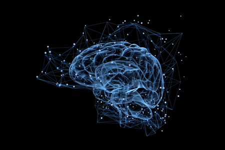 Cerveau-illustration 2.gif