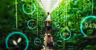 Biotecnologia avança em 2025 com foco em saúde personalizada e agricultura sustentável