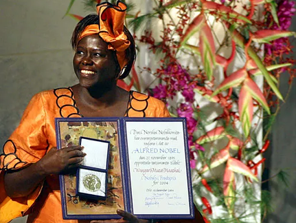 11 de fevereiro: Mulheres e meninas impulsionam a ciência e a inovação na África