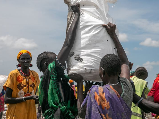 A Fome Global Cai, Mas Aumenta na África: Um Alerta da ONU sobre Segurança Alimentar