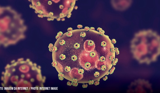 Surto de febre de Lassa preocupa autoridades e revela fragilidades no sistema de saúde da Nigéria