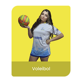 VOLEIBOL.png