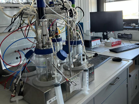 Avanço da biotecnologia pode impulsionar produtos de base renovável