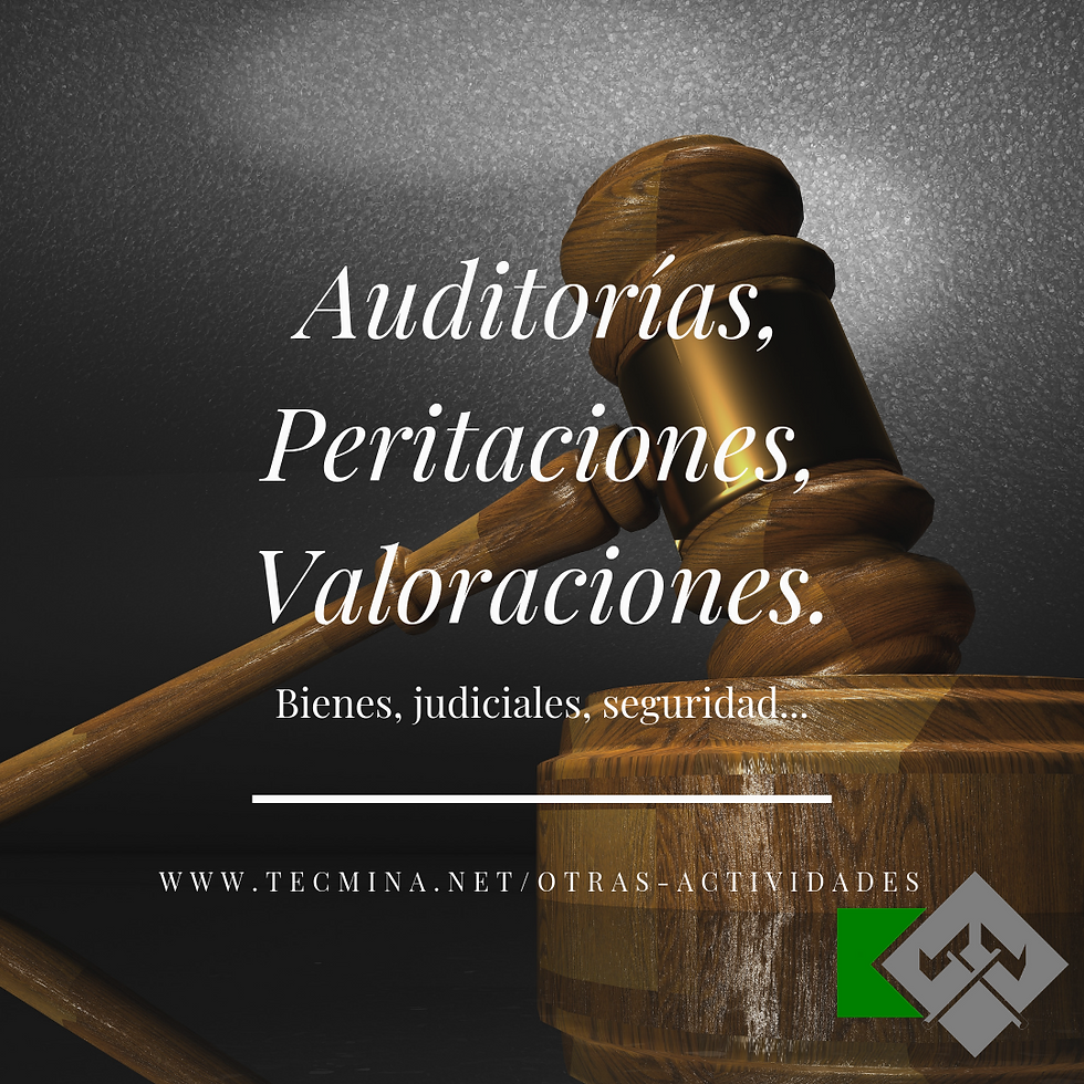 OTRAS_ACTIVIDADES_Auditorías_Peritacione