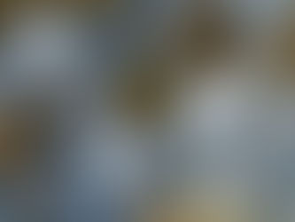 Triste balance pese a la reducción