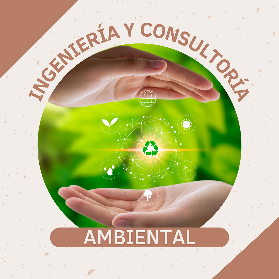 PROYECTOS AMBIENTALES