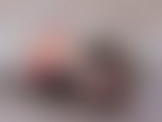 Plan de Seguridad y Plan de Emergencia en Espectáculos Pirotécnicos