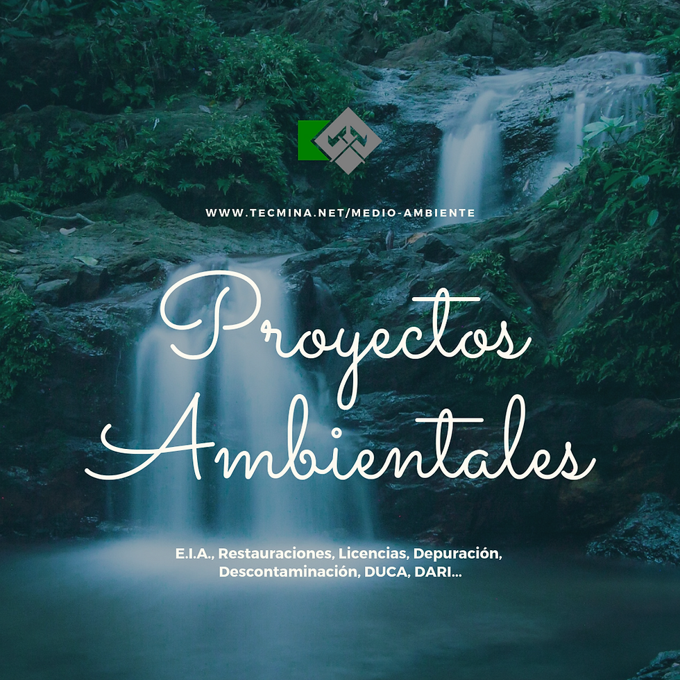 MEDIO 8 Proyectos Ambientales