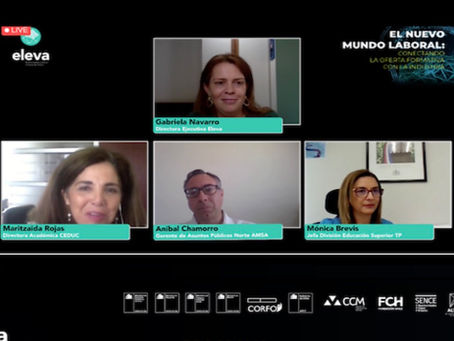 Sector público,formativo y productivo buscan avanzar hacia un sistema de prácticas online en minería