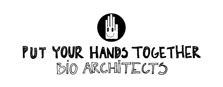 pyht and text logo final.png