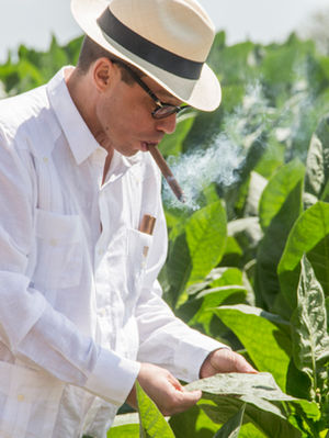 Cigar Talk s Zdravkom Brkićem
