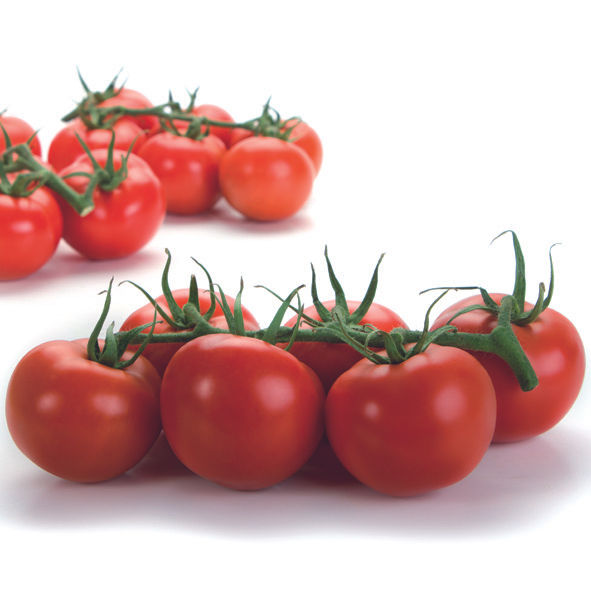 Tomate RACIMO CASI