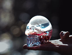 Resin Skull with preserved flowers inside, setting on a hand
