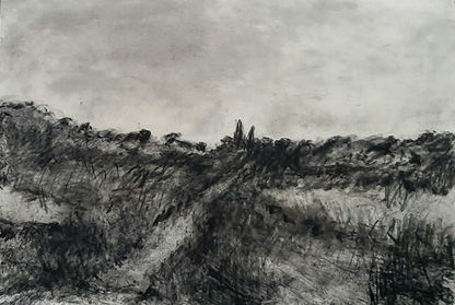 La Plaine - 45 - Dessin - 70 x 100 cm - 2025